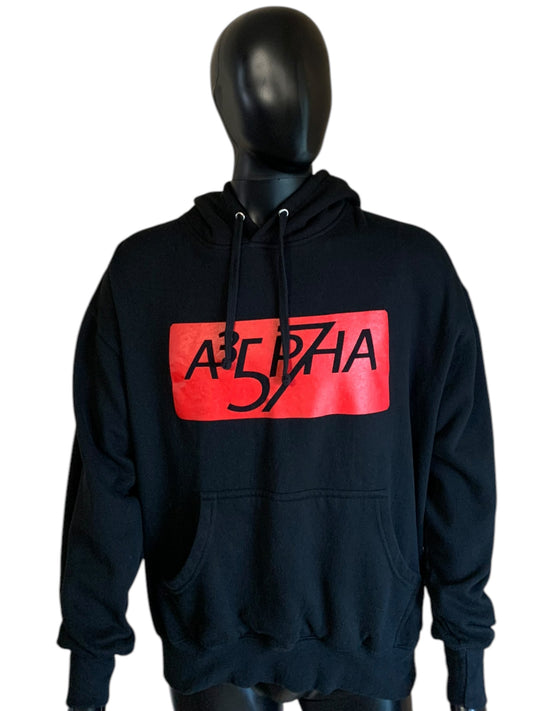 Alpha box Hoodie
