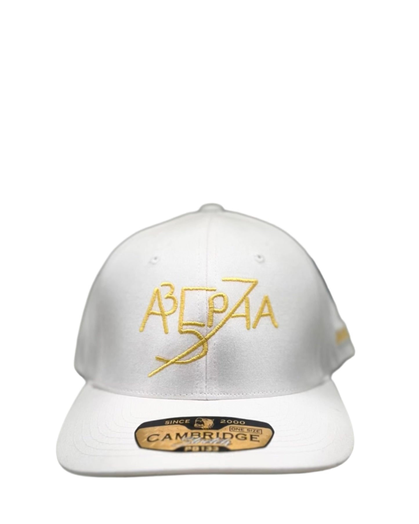 Alpha Snapback Hat